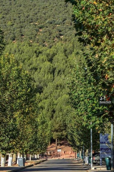 Appartement Chalet Imouzzer du Kandar Εξωτερικό φωτογραφία